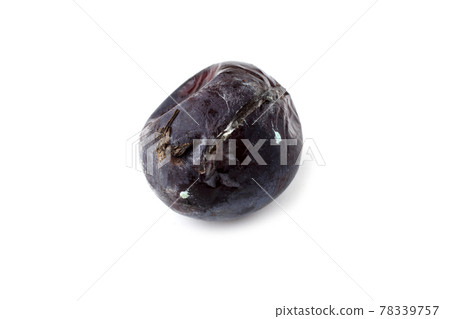 Rotten plum isolated on white Rotten plum isolated on white 78339757