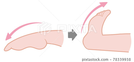Exercise to bend forward and backward Exercise to bend forward and backward 78339938