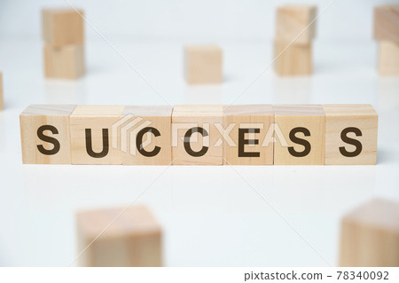 Modern business buzzword - success. Word on wooden blocks on a white background. Modern business buzzword - success. Word on wooden blocks on a white background. 78340092