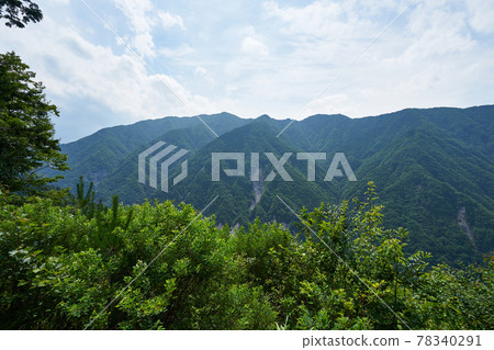 長野縣兵越嶺長野縣道369的風景 78340291