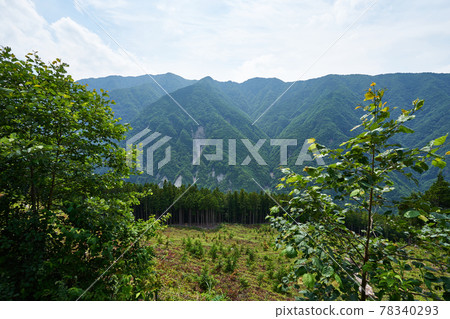 長野縣兵越嶺長野縣道369的風景 78340293