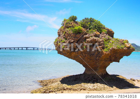 【沖繩濱比嘉島】從天道中的墳墓遠眺濱比嘉橋 78341018
