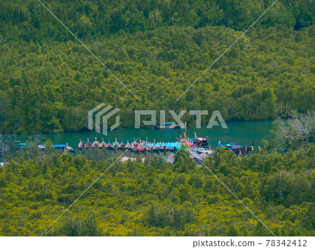 Pier in mangrove forest (Phang Nga Province, Thailand) Pier in mangrove forest (Phang Nga Province, Thailand) 78342412