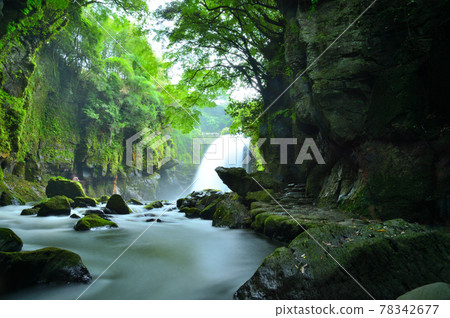 Ameushino Falls that flicks off the rainy season Ameushino Falls that flicks off the rainy season 78342677