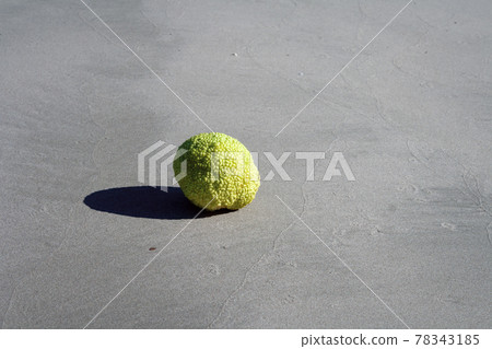 Adam's apple on the seashore. 78343185