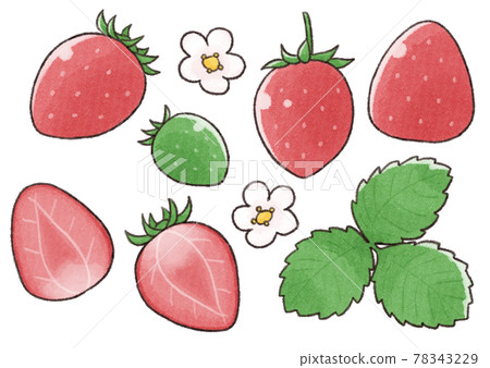 【水彩水果】草莓插畫套裝 【水彩水果】草莓插畫套裝 78343229