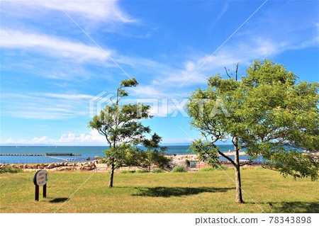 Shin Sato Park 78343898