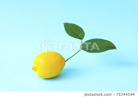 Lemon with branches on a light blue background Lemon with branches on a light blue background 78344594