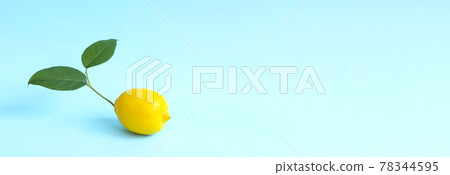 Lemon with branches on a light blue background Lemon with branches on a light blue background 78344595