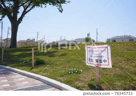 橫濱岡村西公園草坪育成忠的禁入招牌 橫濱岡村西公園草坪育成忠的禁入招牌 78345711