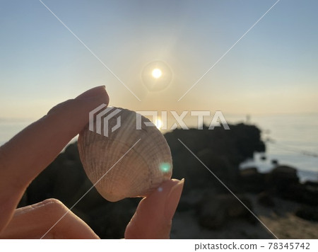 貝殼和藍天 貝殼和藍天 78345742