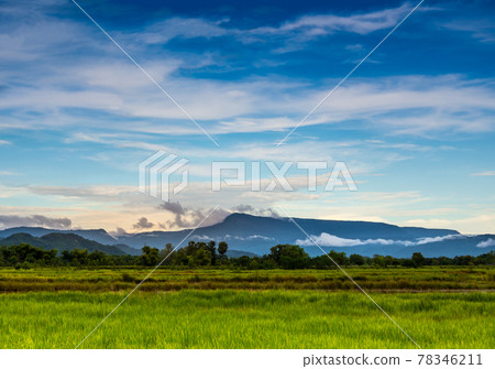 Green Meadow in Blue Sky 78346211