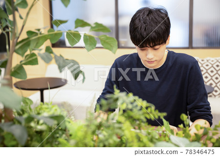 A young man operating a tablet at a table and a houseplant 78346475