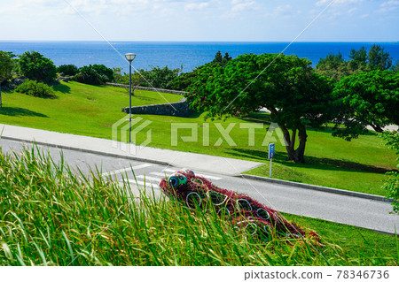 沖繩的藍天碧海，海洋白公園蛙 78346736