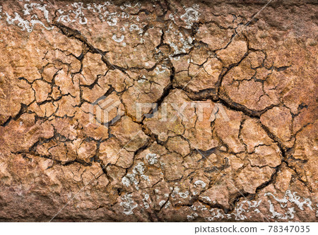 Cracked Soil Texture 78347035
