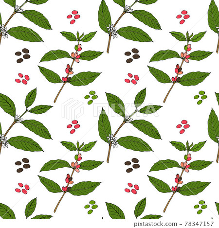 Seamless pattern with coffee branch and beans - Stock Illustration ...