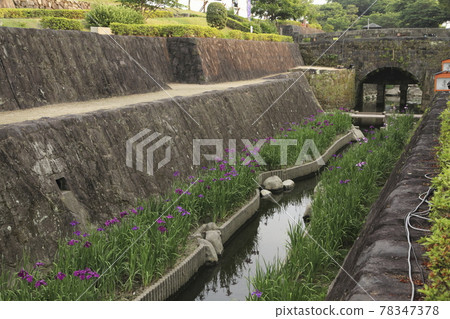 玉名市高瀨鳶尾 78347378