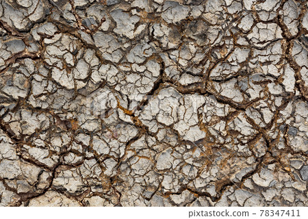Cracked soil texture Cracked soil texture 78347411
