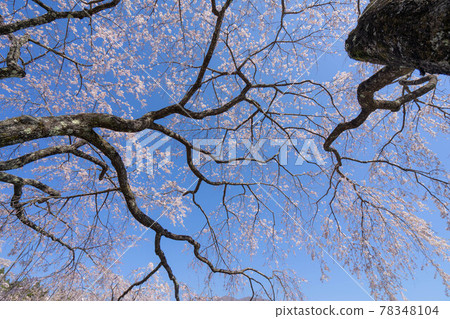 Kwangju temple 78348104