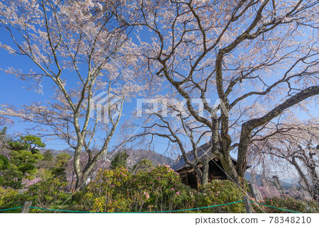 Kwangju temple 78348210