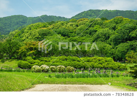 The ruins of the Dazaifu government The ruins of the Dazaifu government 78348628