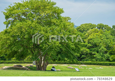 Young woman under a big tree 78348629