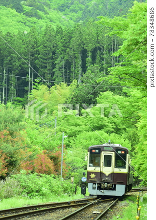 在新綠色中運行的群馬火車 78348686