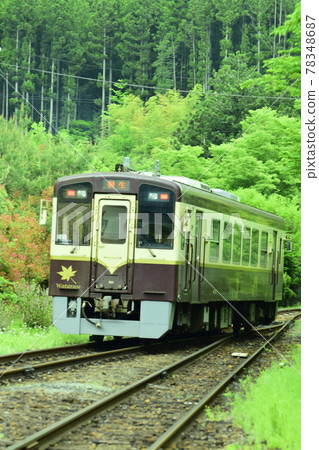 在新綠色中運行的群馬火車 在新綠色中運行的群馬火車 78348687