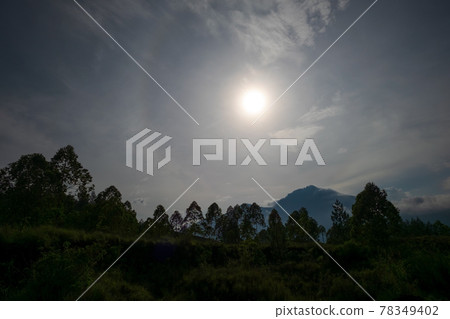 View on cloudy sky and forest during dawn. View on cloudy sky and forest during dawn. 78349402