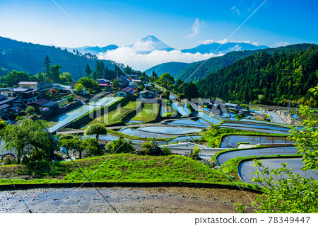 (Yamanashi Prefecture) Hirabayashi Tanada and Mt. Fuji (Yamanashi Prefecture) Hirabayashi Tanada and Mt. Fuji 78349447