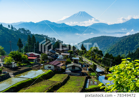 (Yamanashi Prefecture) Hirabayashi Tanada and Mt. Fuji 78349472