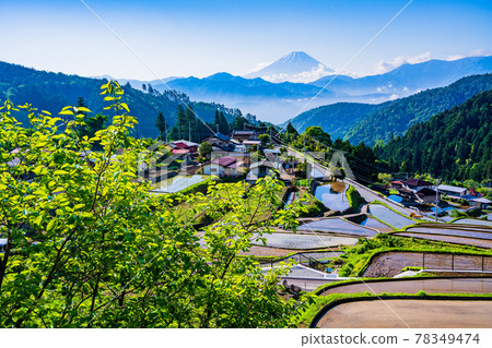 （山梨縣）平林田田和富士山 78349474