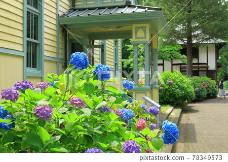 Fuchu City Local Forest Museum Hydrangea and Former Fuchu Town Hall Fuchu City Local Forest Museum Hydrangea and Former Fuchu Town Hall 78349573