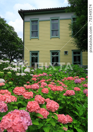 Fuchu City Local Forest Museum Hydrangea and Former Fuchu Town Hall Fuchu City Local Forest Museum Hydrangea and Former Fuchu Town Hall 78349574