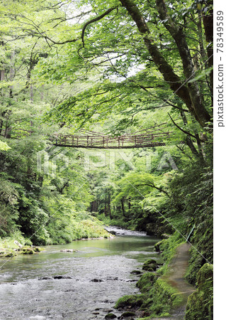 越前池田町（福井縣池田町）的一橋 78349589
