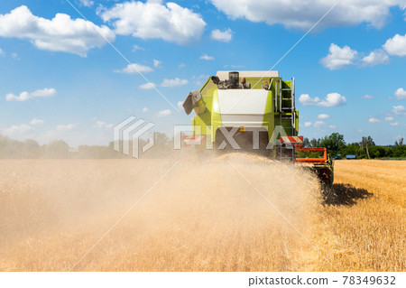 Scenic front view Big red powerful industrial combine harvester machine reaping golden ripe wheat cereal field on bright summer or autumn day. Agricultural yellow field machinery landscape background Scenic front view Big red powerful industrial combine harvester machine reaping golden ripe wheat cereal field on bright summer or autumn day. Agricultural yellow field machinery landscape background 78349632