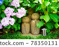 《Kanagawa Prefecture》 Kamakura / Hasedera Ryoen Jizo and Hydrangea 78350131