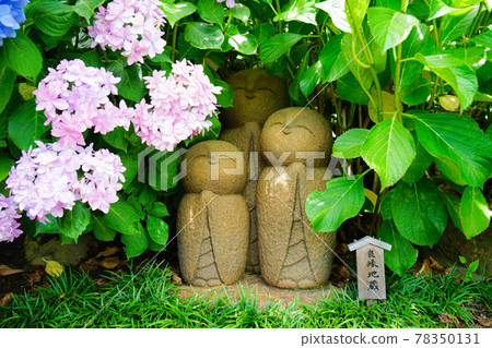 《Kanagawa Prefecture》 Kamakura / Hasedera Ryoen Jizo and Hydrangea 《Kanagawa Prefecture》 Kamakura / Hasedera Ryoen Jizo and Hydrangea 78350131