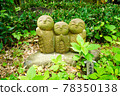 《Kanagawa Prefecture》 Kamakura / Hasedera Ryoen Jizo and Hydrangea 78350138