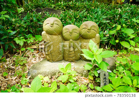 《Kanagawa Prefecture》 Kamakura / Hasedera Ryoen Jizo and Hydrangea 《Kanagawa Prefecture》 Kamakura / Hasedera Ryoen Jizo and Hydrangea 78350138