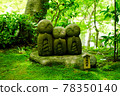 《Kanagawa Prefecture》 Kamakura / Hasedera Ryoen Jizo and Hydrangea 78350140