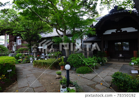 Himenji Himenji 78350192