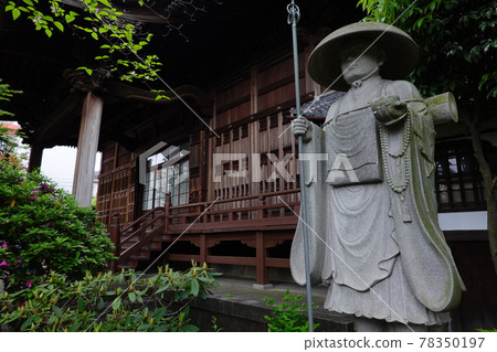 Himenji Himenji 78350197