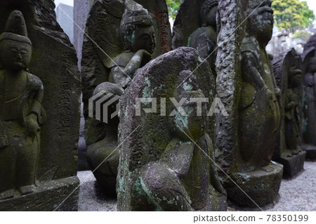 Himenji Himenji 78350199