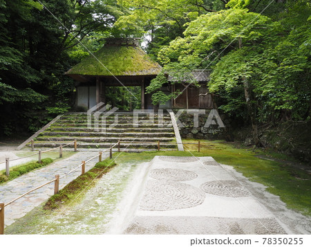 Kyoto fresh green law enforcement office 78350255