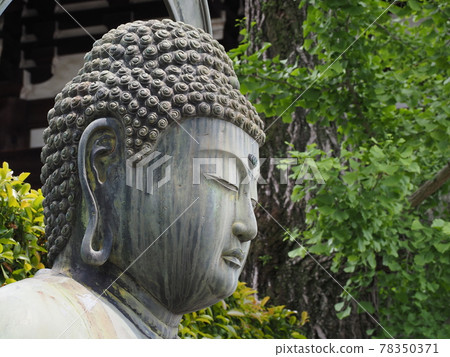 Amida Nyorai of Kinkaku Komyoji Temple Amida Nyorai of Kinkaku Komyoji Temple 78350371