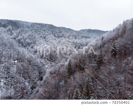 Wonderful landscapes of the Carpathian Mountains covered with snow at Cloudy Day in Ukraine near the village of Vyzhnytsia and River Cheremosh Wonderful landscapes of the Carpathian Mountains covered with snow at Cloudy Day in Ukraine near the village of Vyzhnytsia and River Cheremosh 78350401
