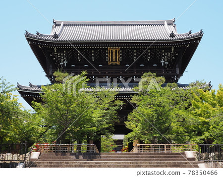 Fresh green Konkai Komyoji Temple 78350466