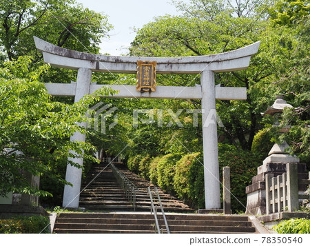Kyoto Higashiyama fresh green Sotatsu Shrine Kyoto Higashiyama fresh green Sotatsu Shrine 78350540
