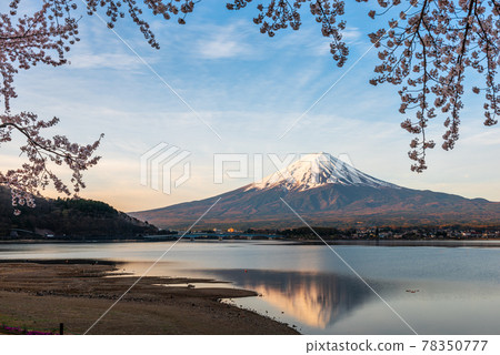 Mt. Fuji, Japan on Lake Kawaguchi 78350777